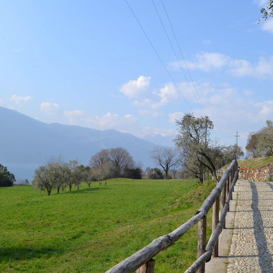 La Cascina Della Vigna Del Viandante Villa Abbadia Lariana Eksteriør bilde